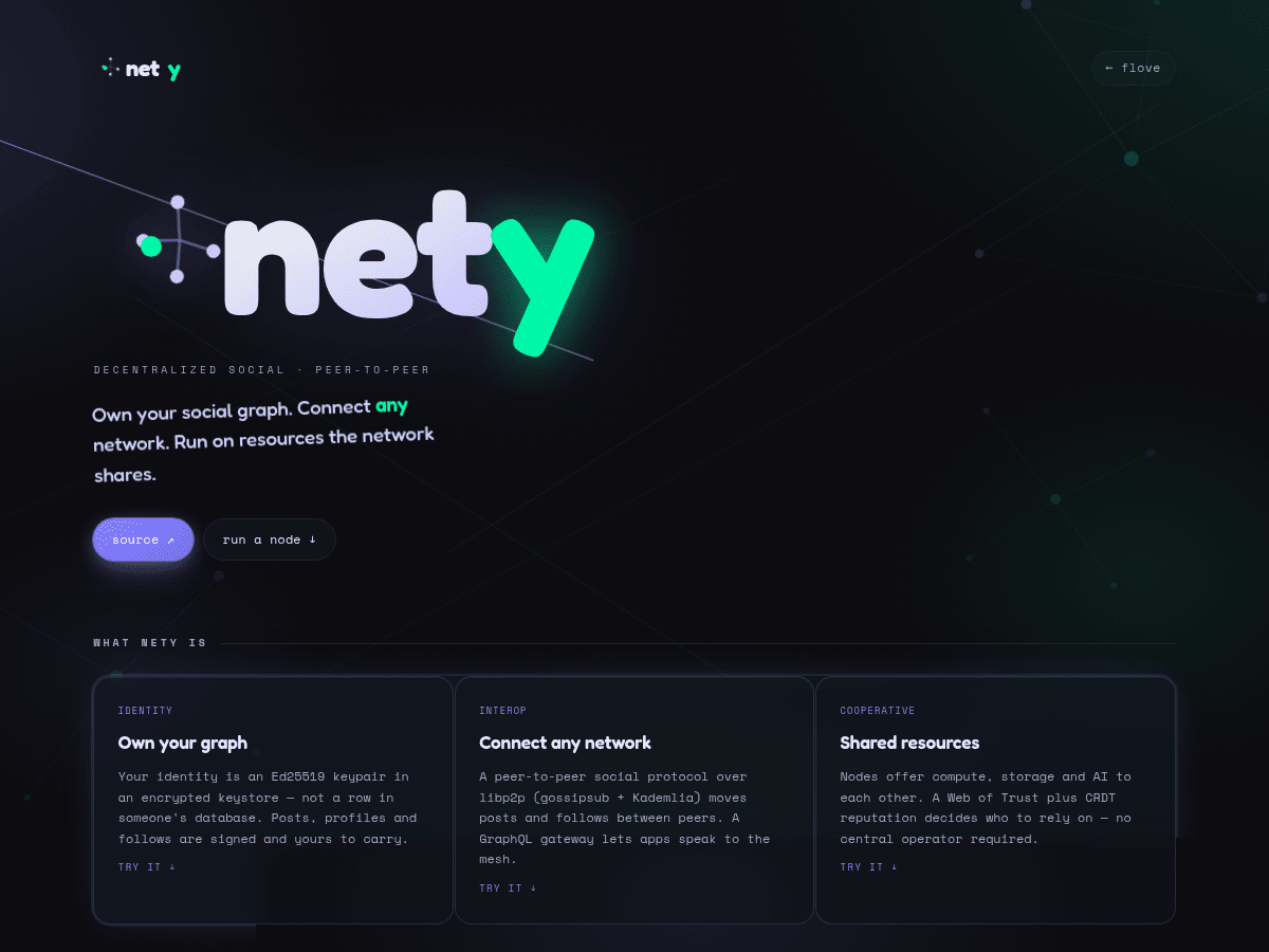 Nety landing page